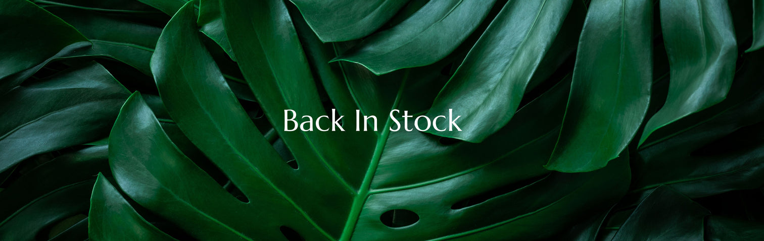 Back in Stock